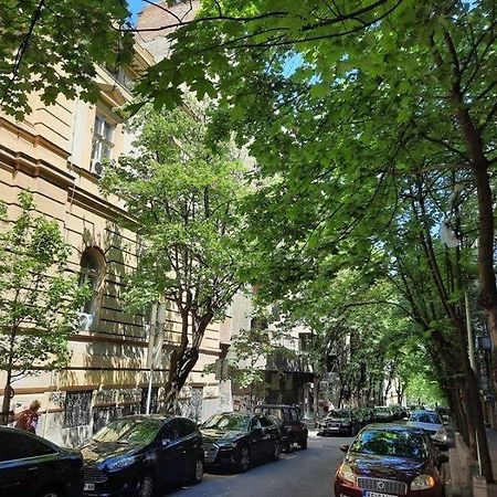 Apartment 51 - Bright, Spacious, Lux 1 Bedroom In The City Center - Stari Grad Belgrad Zewnętrze zdjęcie